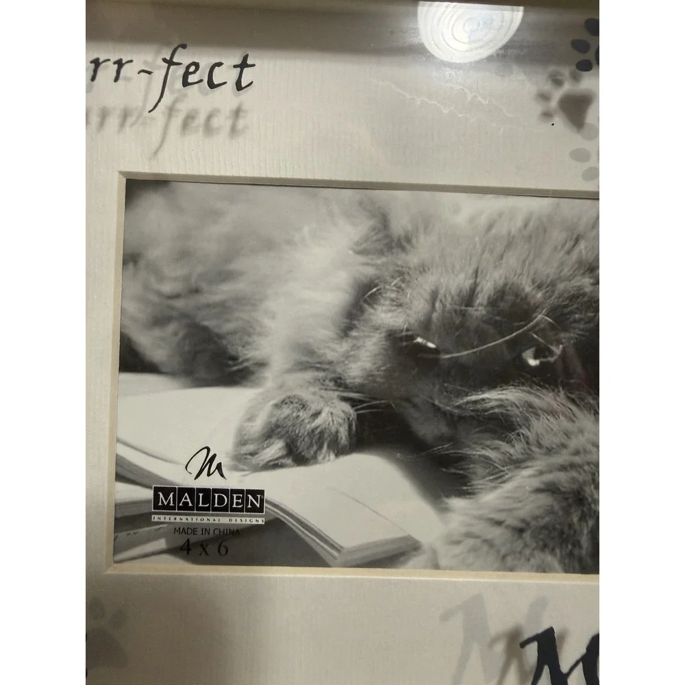 Malden Cat Photo Frame 4 X 6 Photo Black‎ Frame Pet Lover Decor Meow Perfect